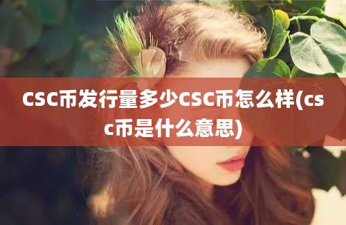 CSC币发行量多少CSC币怎么样(csc币是什么意思)