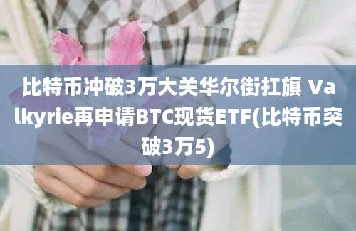 比特币冲破3万大关华尔街扛旗 Valkyrie再申请BTC现货ETF(比特币突破3万5)