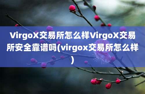 VirgoX交易所怎么样VirgoX交易所安全靠谱吗(virgox交易所怎么样)