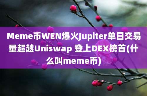 Meme币WEN爆火Jupiter单日交易量超越Uniswap 登上DEX榜首(什么叫meme币)