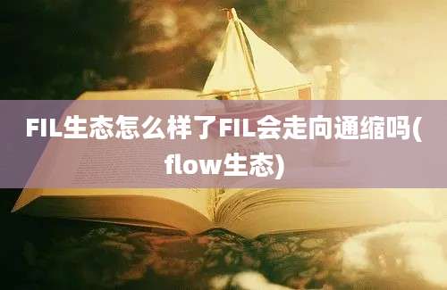 FIL生态怎么样了FIL会走向通缩吗(flow生态)