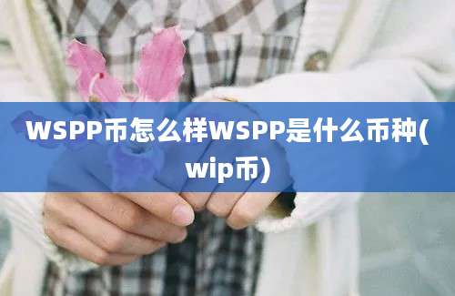 WSPP币怎么样WSPP是什么币种(wip币)