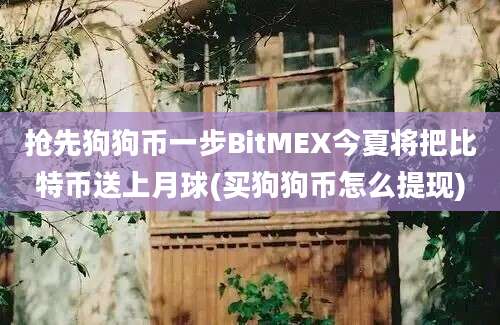 抢先狗狗币一步BitMEX今夏将把比特币送上月球(买狗狗币怎么提现)