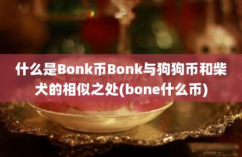 什么是Bonk币Bonk与狗狗币和柴犬的相似之处(bone什么币)