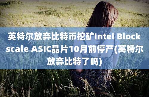 英特尔放弃比特币挖矿Intel Blockscale ASIC晶片10月前停产(英特尔放弃比特了吗)