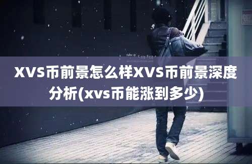 XVS币前景怎么样XVS币前景深度分析(xvs币能涨到多少)