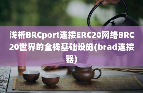 浅析BRCport连接ERC20网络BRC20世界的全栈基础设施(brad连接器)