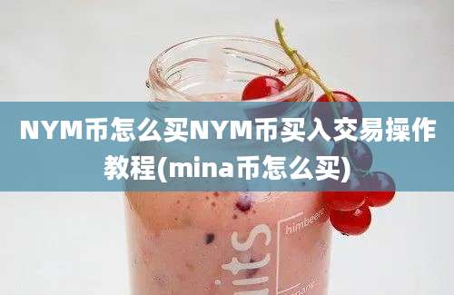 NYM币怎么买NYM币买入交易操作教程(mina币怎么买)