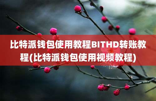 比特派钱包使用教程BITHD转账教程(比特派钱包使用视频教程)