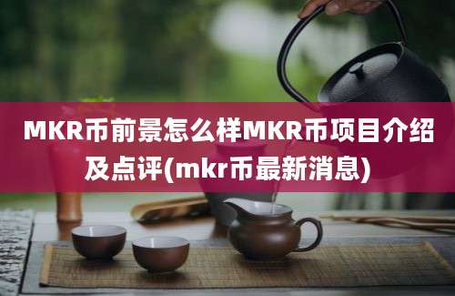 MKR币前景怎么样MKR币项目介绍及点评(mkr币最新消息)