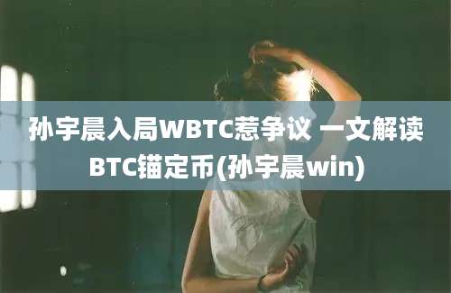 孙宇晨入局WBTC惹争议 一文解读BTC锚定币(孙宇晨win)