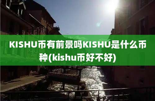 KISHU币有前景吗KISHU是什么币种(kishu币好不好)