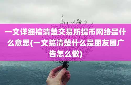 一文详细搞清楚交易所提币网络是什么意思(一文搞清楚什么是朋友圈广告怎么做)