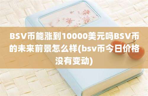 BSV币能涨到10000美元吗BSV币的未来前景怎么样(bsv币今日价格没有变动)