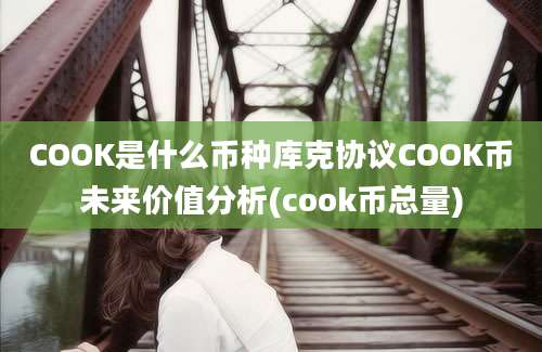 COOK是什么币种库克协议COOK币未来价值分析(cook币总量)