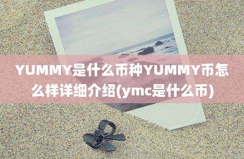 YUMMY是什么币种YUMMY币怎么样详细介绍(ymc是什么币)