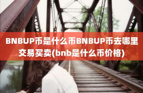 BNBUP币是什么币BNBUP币去哪里交易买卖(bnb是什么币价格)