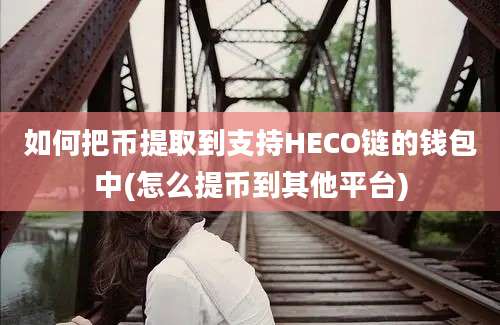 如何把币提取到支持HECO链的钱包中(怎么提币到其他平台)