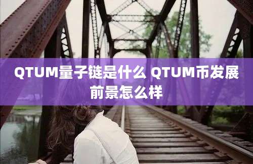 QTUM量子链是什么 QTUM币发展前景怎么样