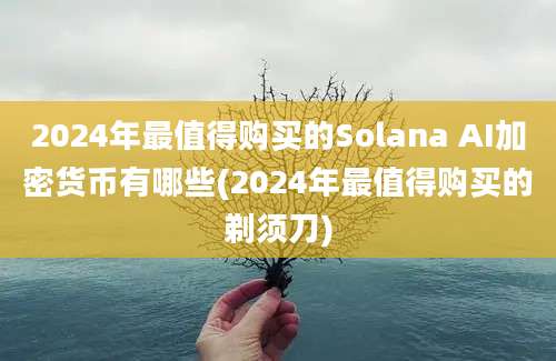 2024年最值得购买的Solana AI加密货币有哪些(2024年最值得购买的剃须刀)