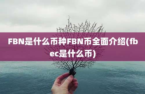 FBN是什么币种FBN币全面介绍(fbec是什么币)