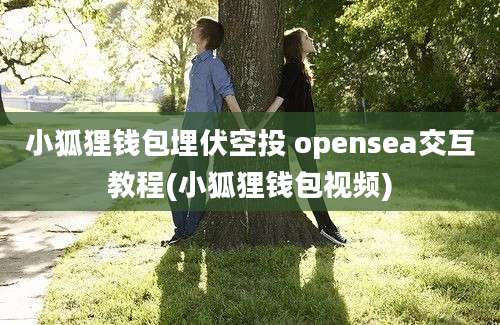 小狐狸钱包埋伏空投 opensea交互教程(小狐狸钱包视频)