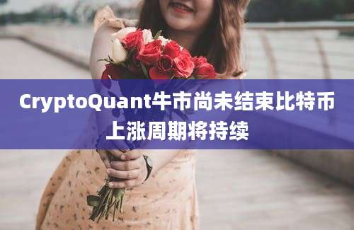 CryptoQuant牛市尚未结束比特币上涨周期将持续