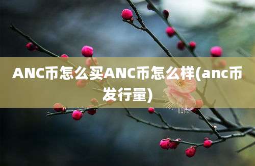 ANC币怎么买ANC币怎么样(anc币发行量)