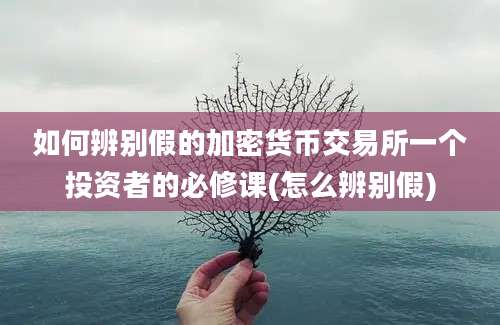 如何辨别假的加密货币交易所一个投资者的必修课(怎么辨别假)