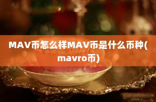 MAV币怎么样MAV币是什么币种(mavro币)