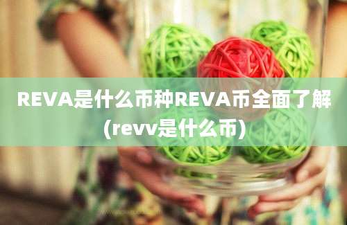 REVA是什么币种REVA币全面了解(revv是什么币)