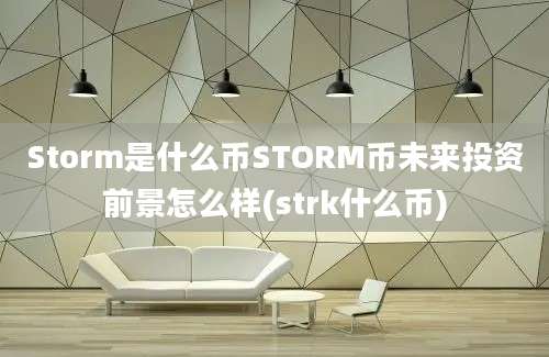 Storm是什么币STORM币未来投资前景怎么样(strk什么币)