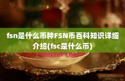 fsn是什么币种FSN币百科知识详细介绍(fsc是什么币)