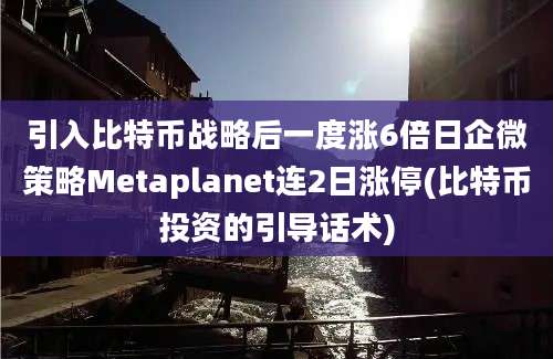 引入比特币战略后一度涨6倍日企微策略Metaplanet连2日涨停(比特币投资的引导话术)