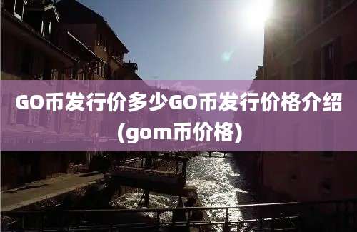 GO币发行价多少GO币发行价格介绍(gom币价格)