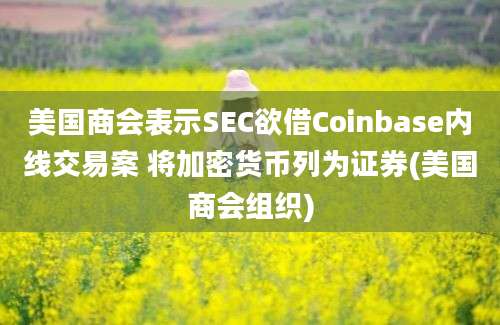 美国商会表示SEC欲借Coinbase内线交易案 将加密货币列为证券(美国商会组织)