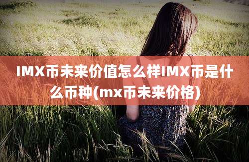 IMX币未来价值怎么样IMX币是什么币种(mx币未来价格)