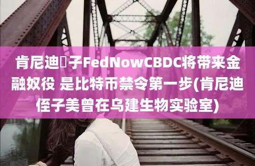 肯尼迪姪子FedNowCBDC将带来金融奴役 是比特币禁令第一步(肯尼迪侄子美曾在乌建生物实验室)