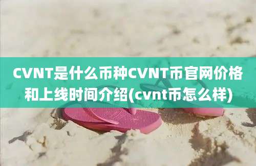 CVNT是什么币种CVNT币官网价格和上线时间介绍(cvnt币怎么样)