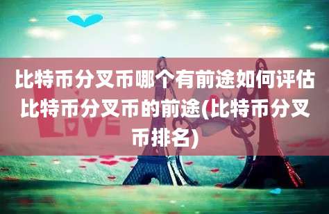 比特币分叉币哪个有前途如何评估比特币分叉币的前途(比特币分叉币排名)