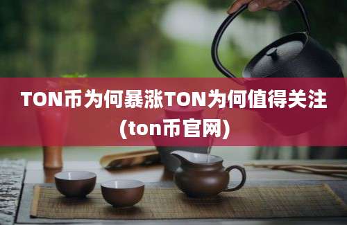 TON币为何暴涨TON为何值得关注(ton币官网)