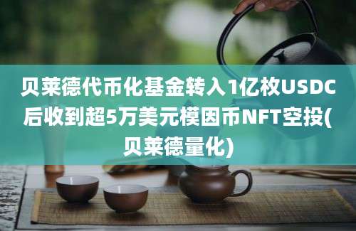 贝莱德代币化基金转入1亿枚USDC后收到超5万美元模因币NFT空投(贝莱德量化)