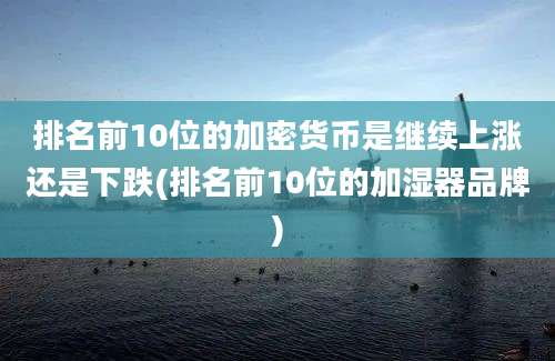 排名前10位的加密货币是继续上涨还是下跌(排名前10位的加湿器品牌)