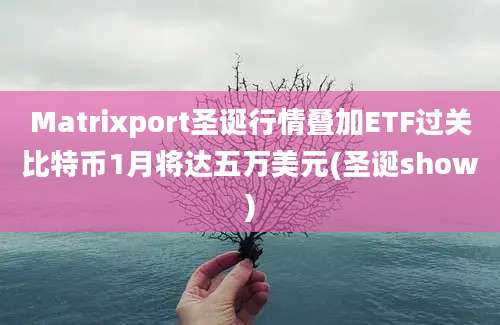 Matrixport圣诞行情叠加ETF过关比特币1月将达五万美元(圣诞show)