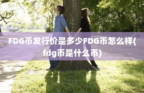 FDG币发行价是多少FDG币怎么样(fdg币是什么币)