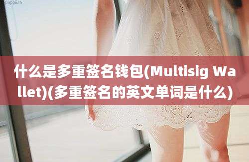 什么是多重签名钱包(Multisig Wallet)(多重签名的英文单词是什么)