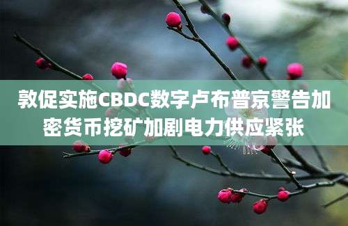 敦促实施CBDC数字卢布普京警告加密货币挖矿加剧电力供应紧张