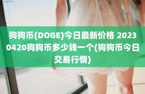 狗狗币(DOGE)今日最新价格 20230420狗狗币多少钱一个(狗狗币今日交易行情)