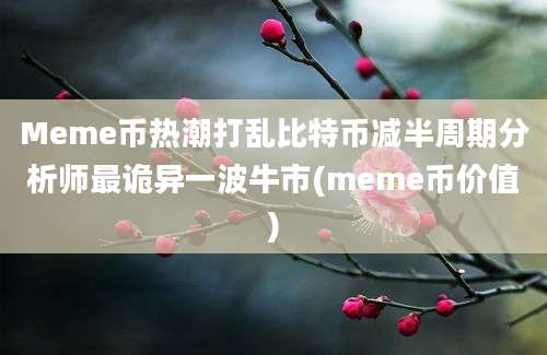 Meme币热潮打乱比特币减半周期分析师最诡异一波牛市(meme币价值)