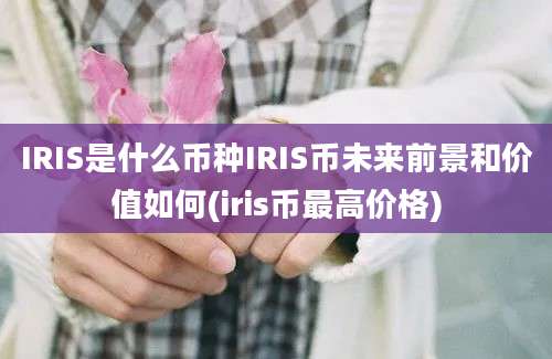 IRIS是什么币种IRIS币未来前景和价值如何(iris币最高价格)